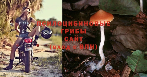 амфетамин Гусиноозёрск