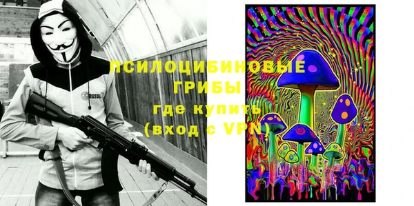 ALPHA PVP Гусев